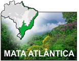 Mata Atlântica Preservada